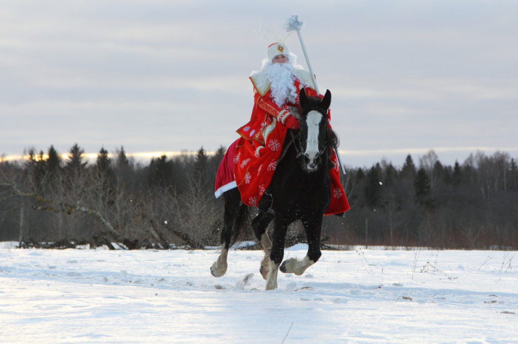 «Волшебные кони Деда Мороза!»